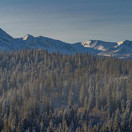 Willa Gawra II - 100 M Do Wyciagow Narciarskich , 900 M Do Term Tatranská Bukovina Exteriér fotografie